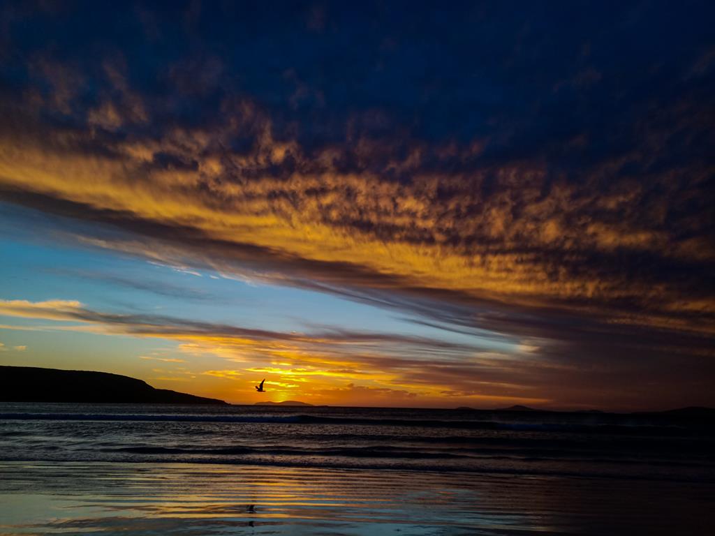 Sunset at Cape Le Grand with a seagull