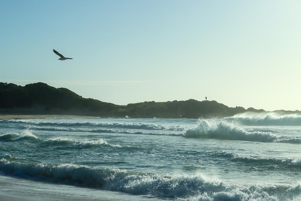 Beach at Boat Harbour