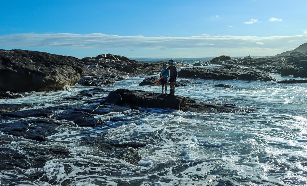 Rock pools at Boat Harbour