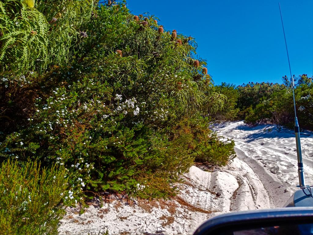 4WD track to Tagon Beach Cape Arid
