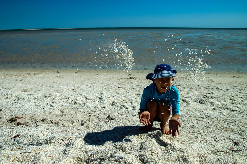 Kid playing with shells at Shell Beach in Shark Bay