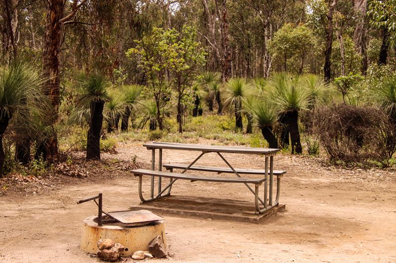 Homestead campground in Avon Valley National Park