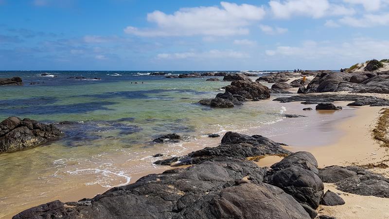 rocky coastline