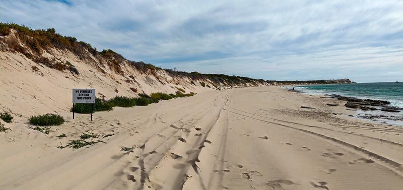 Vehicle driving tracks on the beach