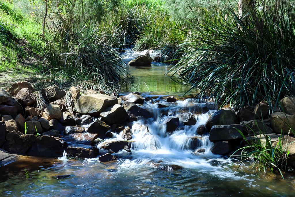 Best waterfalls around Perth – Lesmurdie Falls – Travel nut