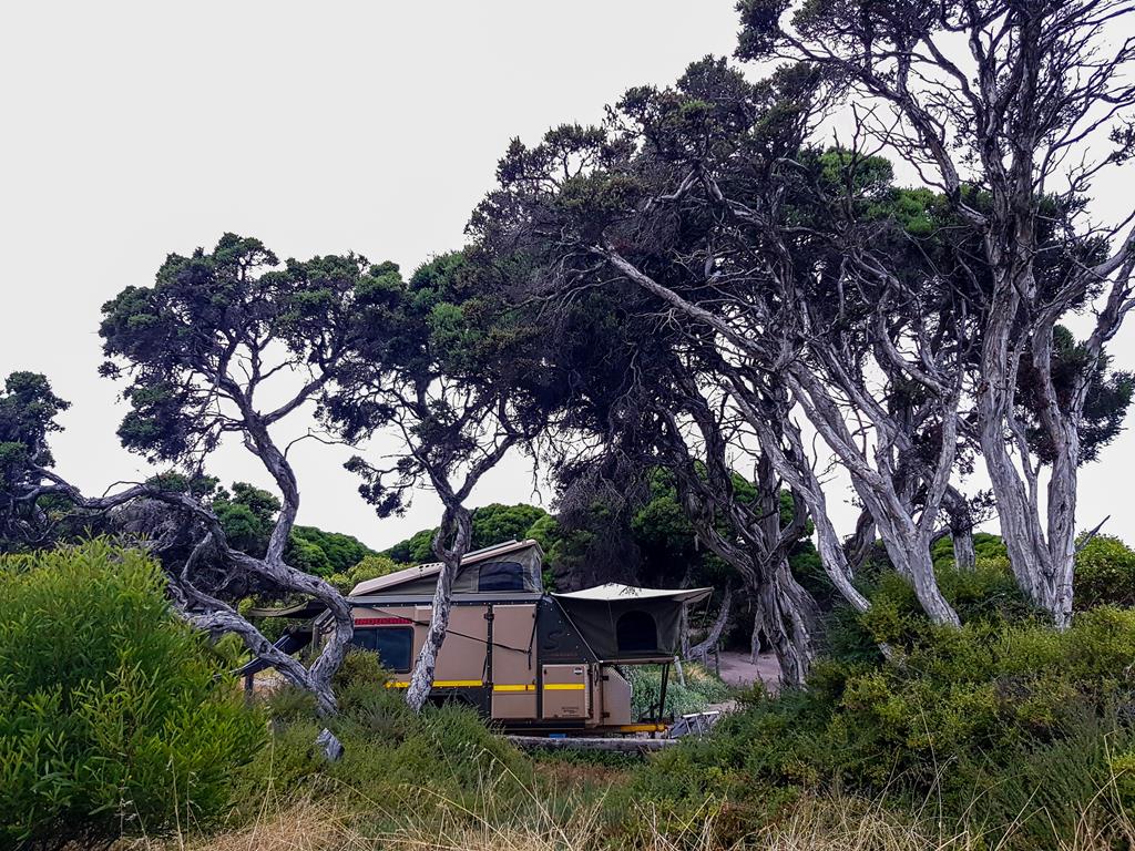 Camping at Boat Harbour
