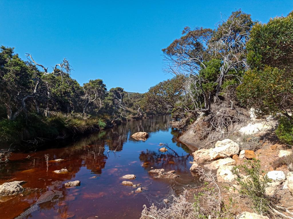 Lake near Boat Harbour