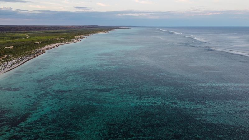 Snorkelling at North Kurrajong in Cape Range National Park