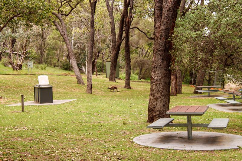 Main picnic area at Serpentine Falls National Park.