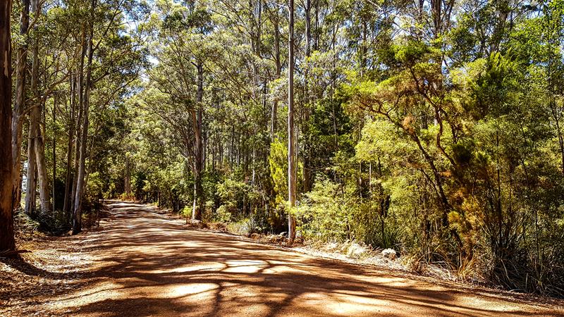 Warren National Park dirt road