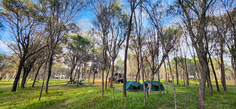 Camping in the woodland