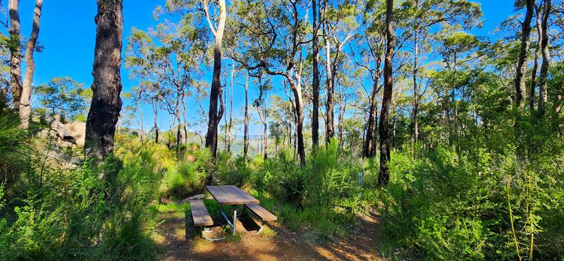Secluded picnic site at Harvey Wildflower Ridge Walk