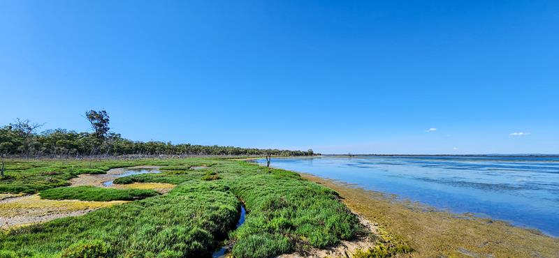 Beautiful view of Island Point Reserve