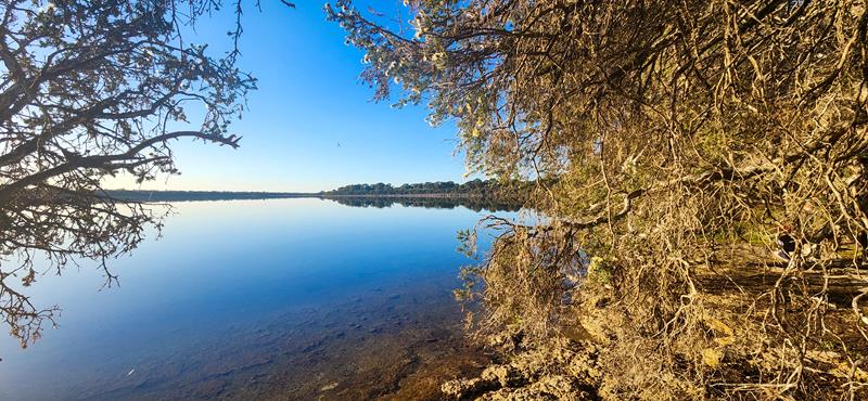 Lake at Martins Tank campground