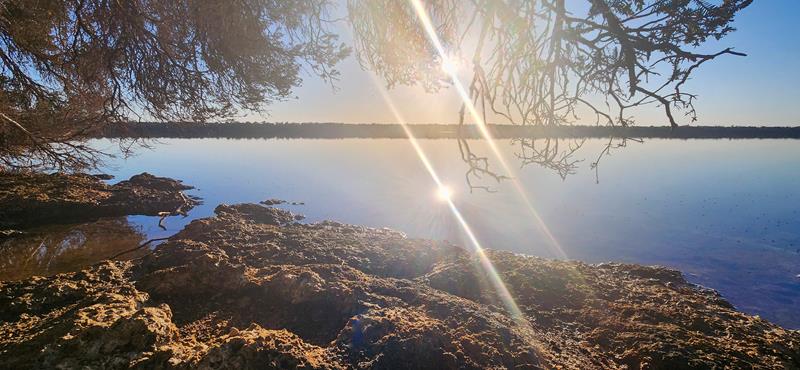 Morning sun at Martin Lake