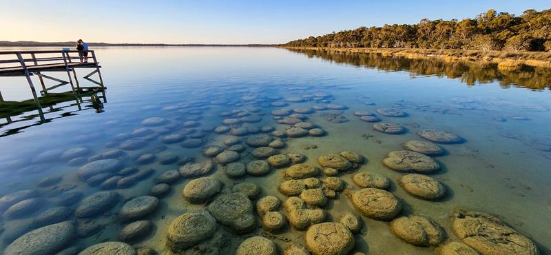 Thrombolites at Lake Clifton