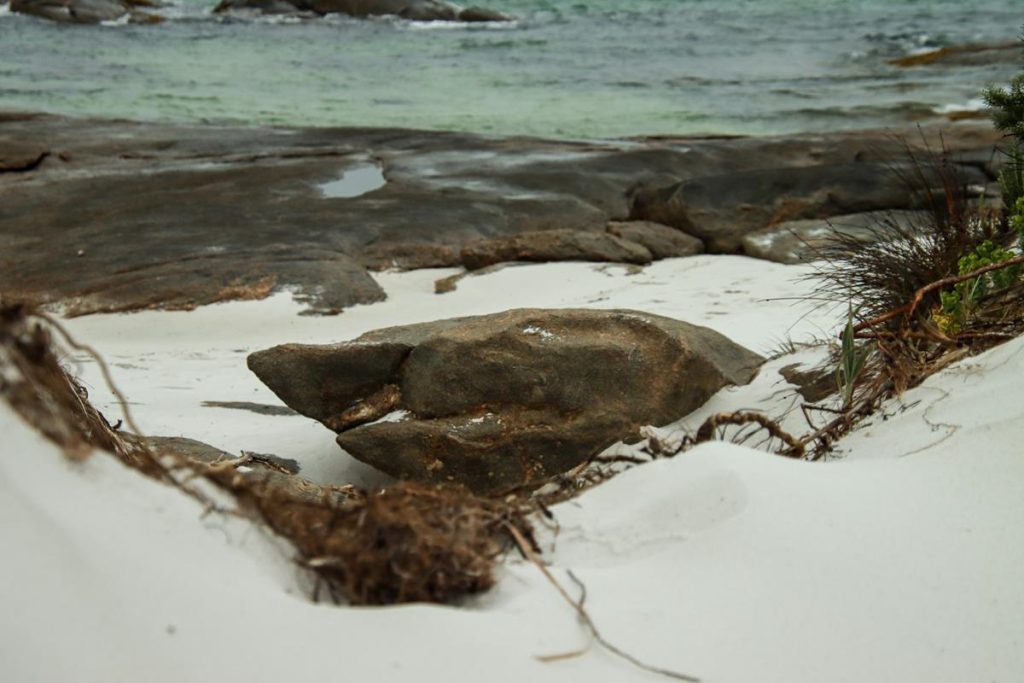 Shark looking rock