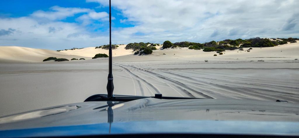Hamersley dunes at Fitzgerald River National Park