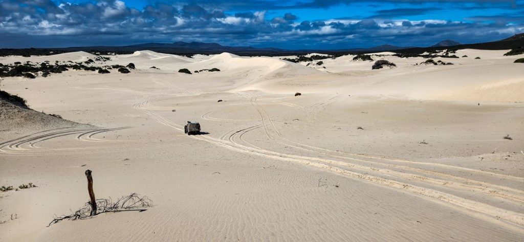 A vehicle driving through Hamersley dunes at Fitzgerald River National Park