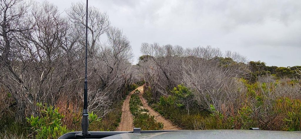 4WD track through the bush to Hamersley dunes