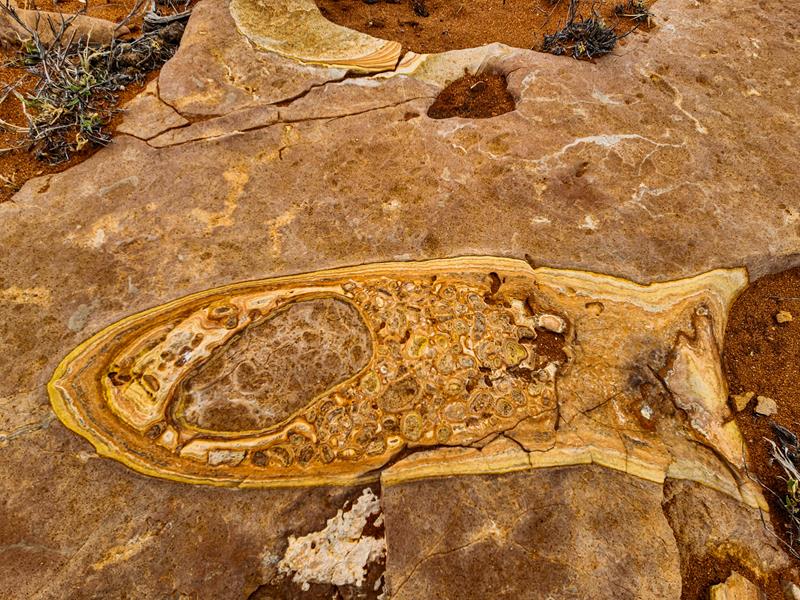 Rock pattern in a shape of a fish