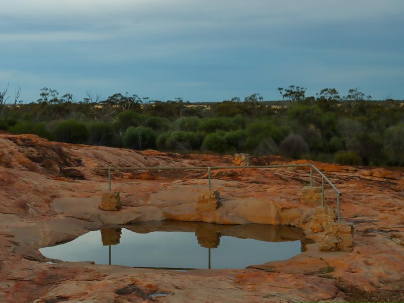 Camel Soak watering hole