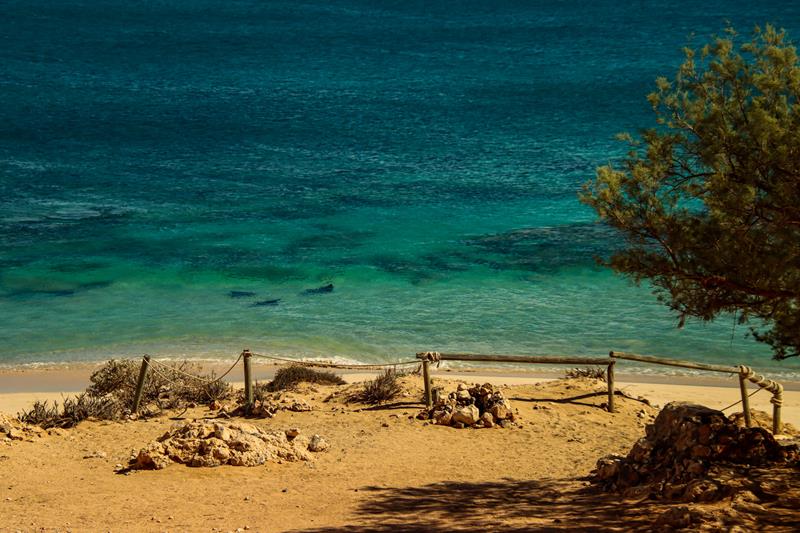 Red Bluff near Quobba station beach with eagle rays