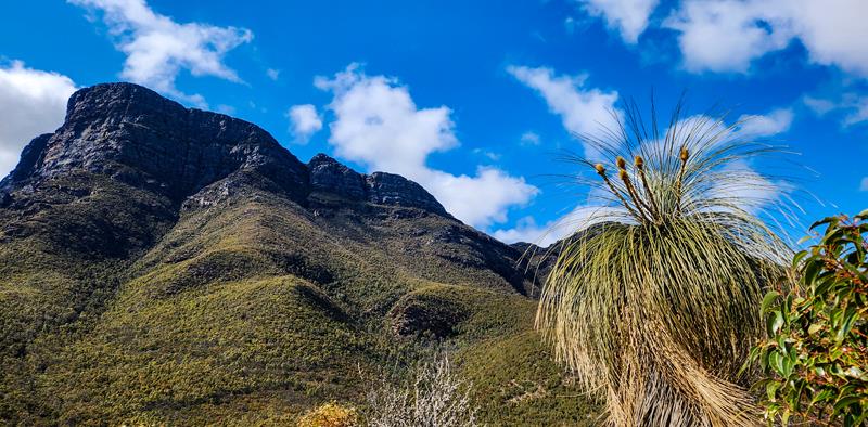 Bluff Knoll, Stirling Range NP