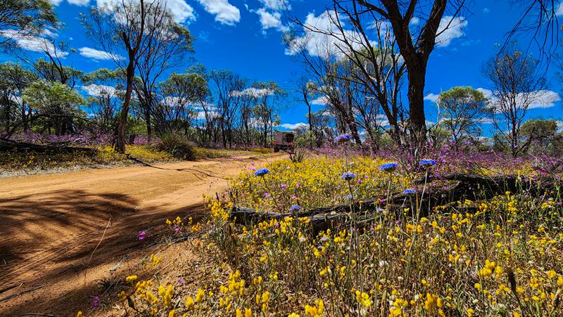 Driving through Datjoin Rock reserve