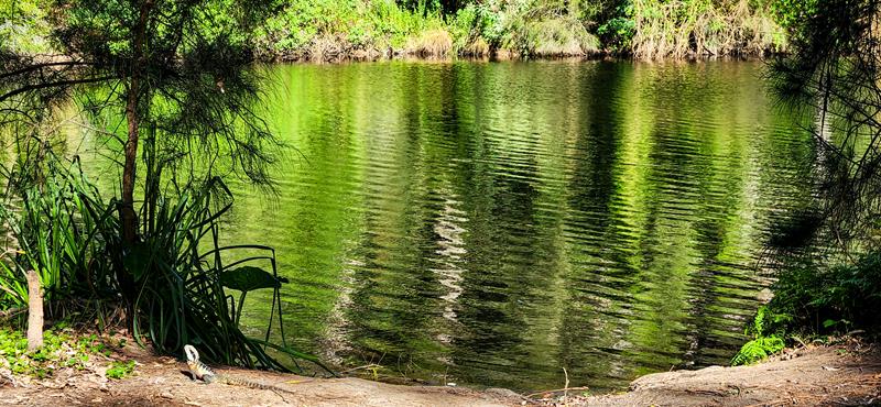 Lane Cove River in Lane Cove National Park, Sydney