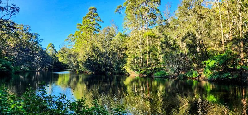 Lane Cove National Park, Sydney