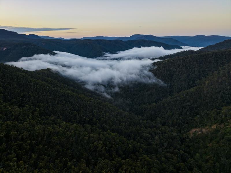 Low lying clouds over Megalong Valley with Dunphys campground