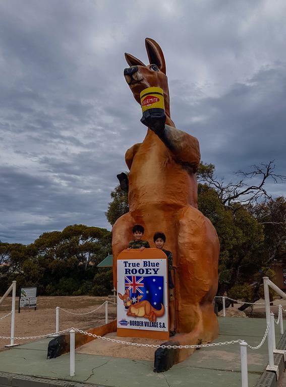 Big Kangaroo statue at the Border Village on the Nullarbor