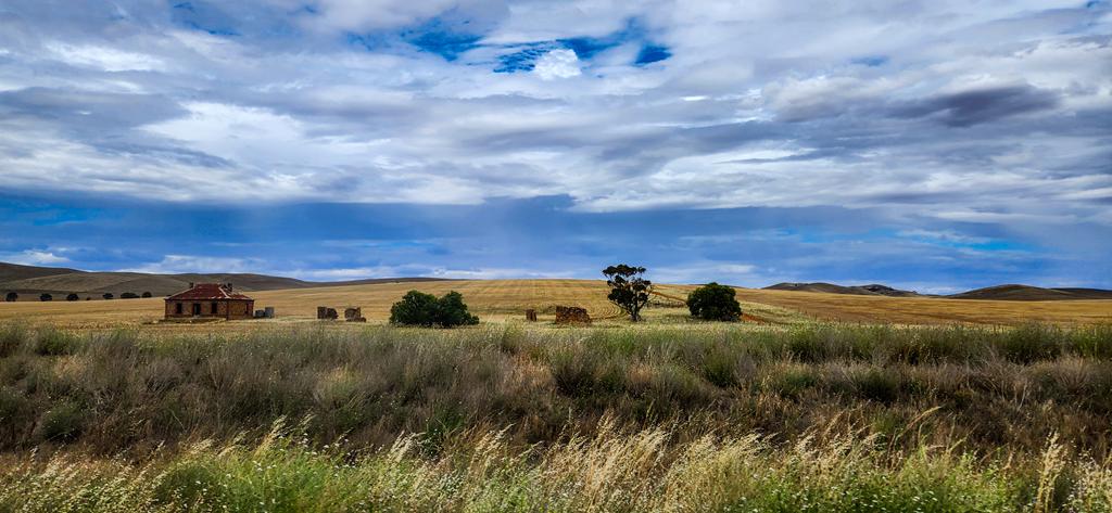 Landscape in South Australia
