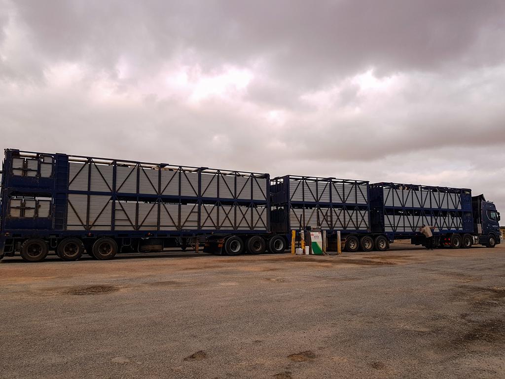 One of the many road trains on the Nullarbor