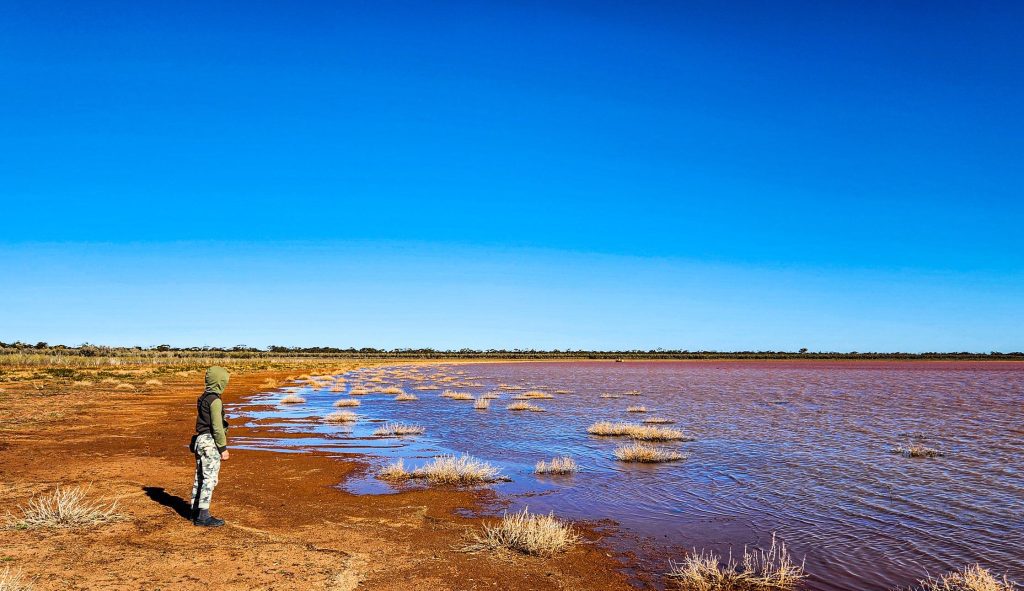 A boy looking at Rowles Lagoon