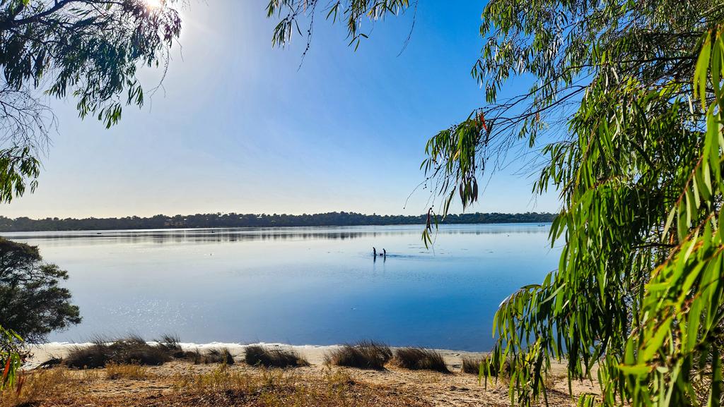 Leschenault estuary